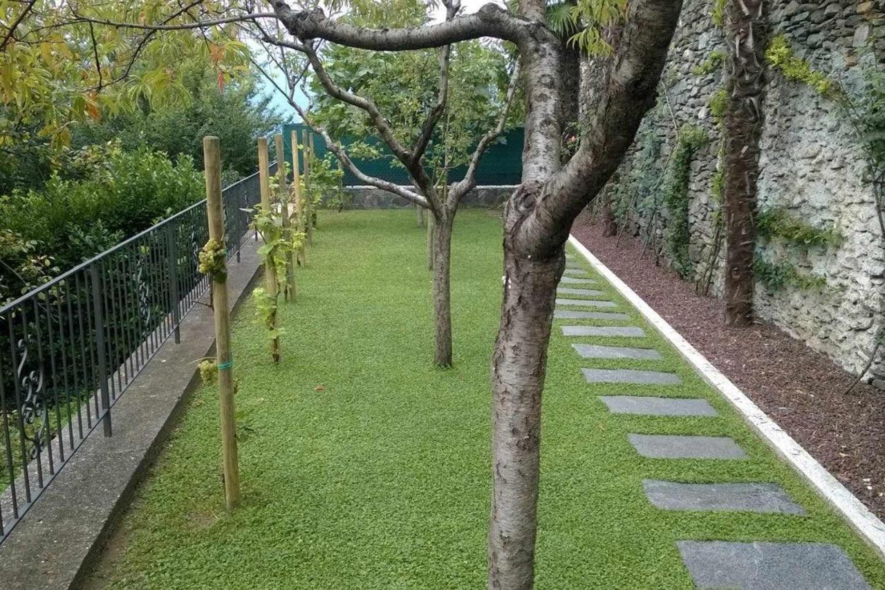 Domus Cusiana Complesso Vista Lago E Piscina Miasino Luaran gambar